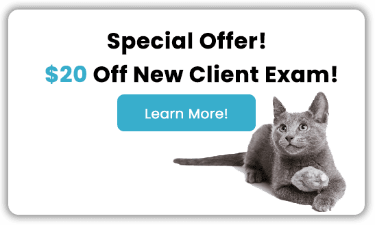 Special offer! $20 Off New Client Exam!