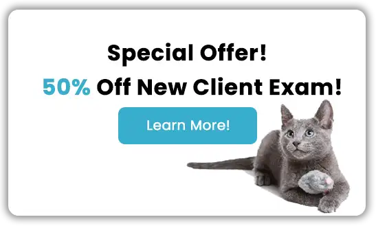 Special offer! 50% Off New Client Exam!