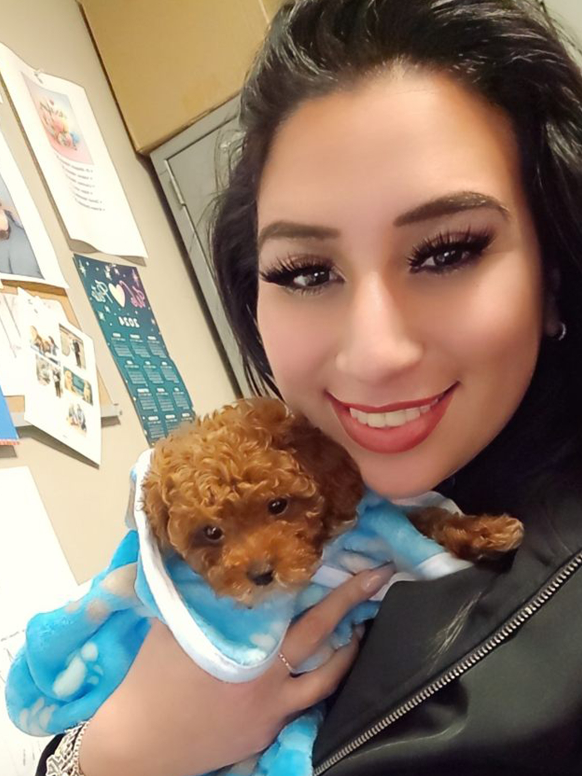 a brown puppy wrapped in a blue blanket held by a person