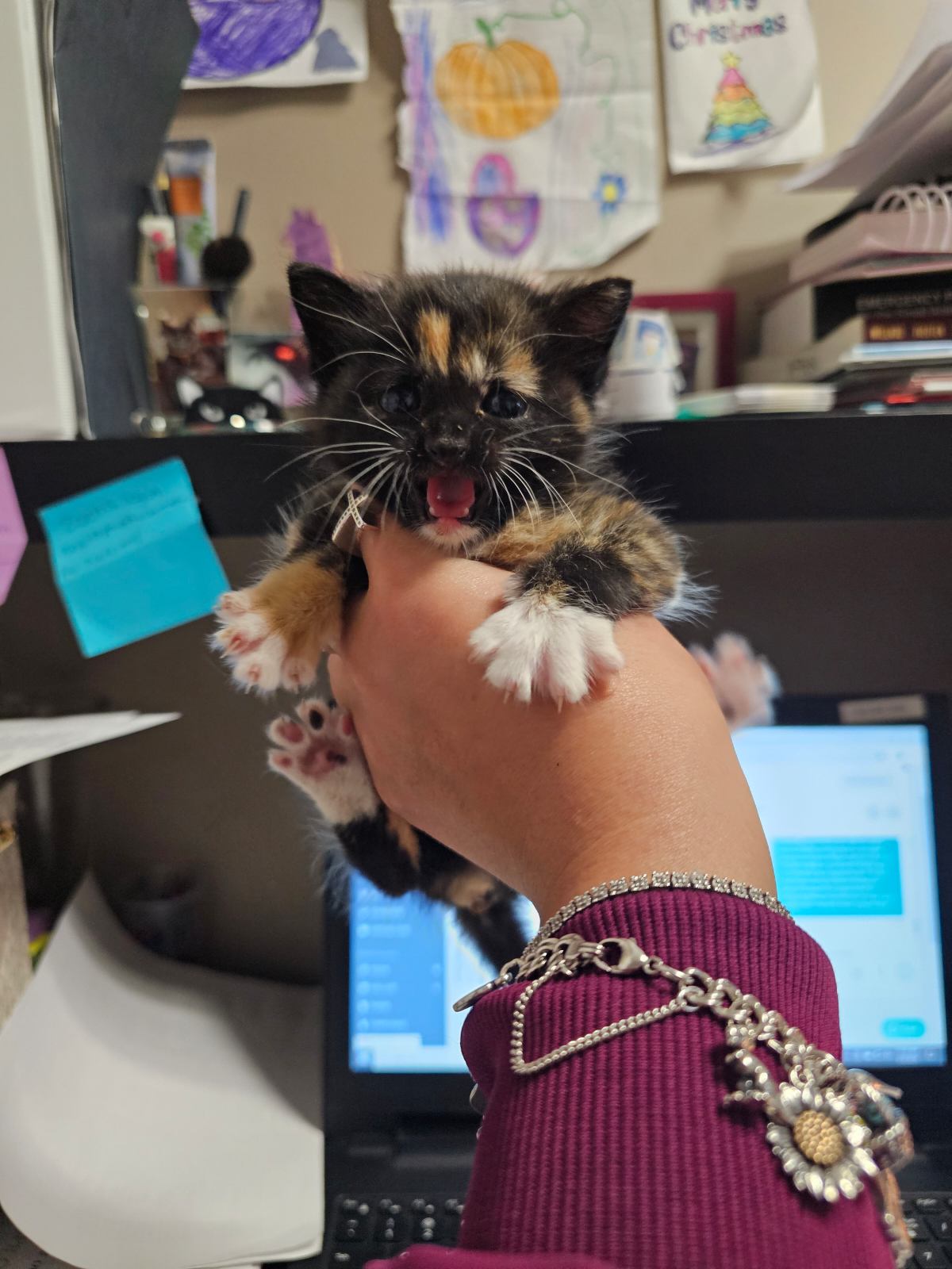 a kitten with its mouth open being held in front of a computer desk