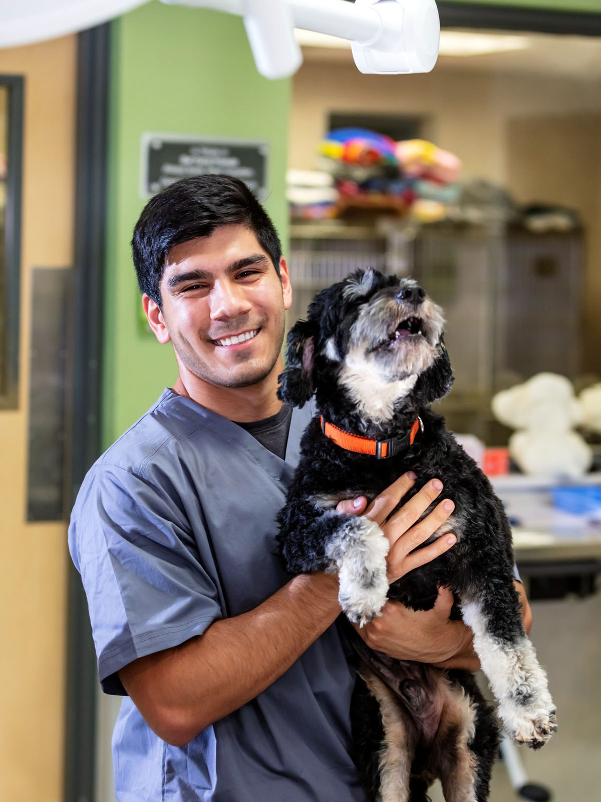 a person in scrubs holding a old dog in a hospital