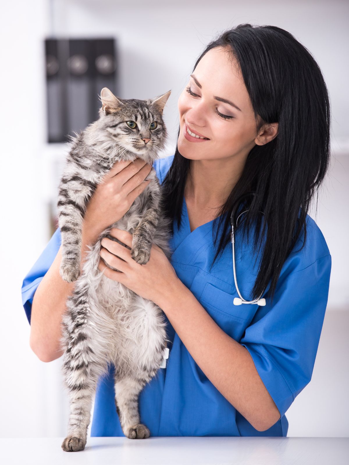 a vet in blue scrubs holding a fluffy tabby cat