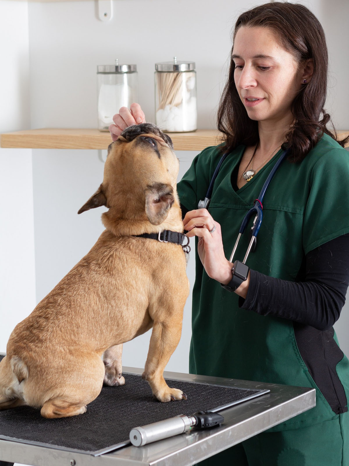 a vet in scrubs petting a dog on an exam table