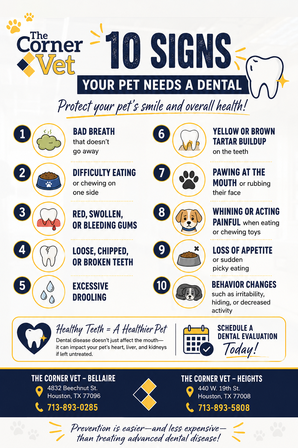 7.30 10 signs your pet needs a dental